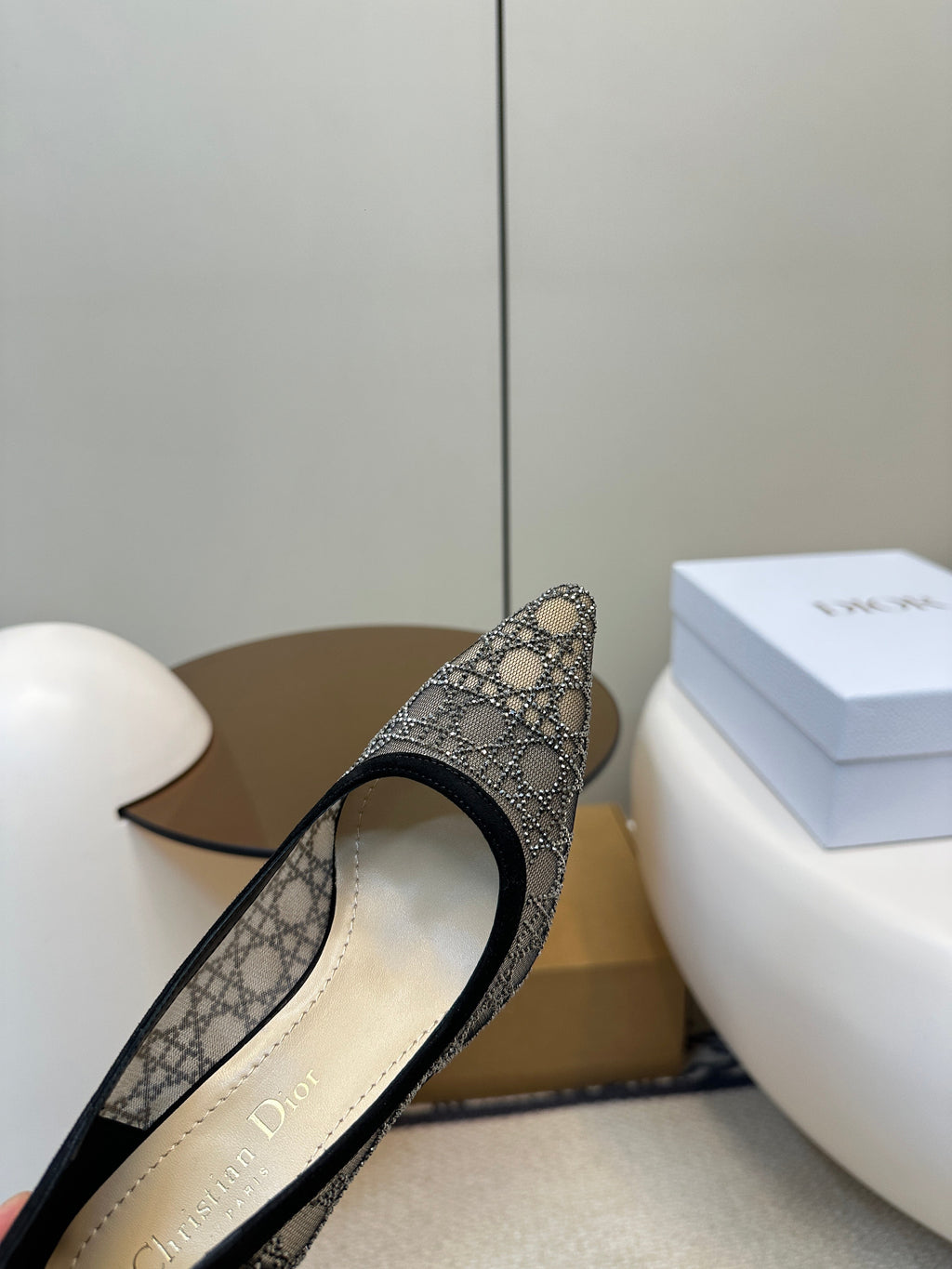 DIOR POINTED TOE HEELS 55MM IN BLACK MESH WITH RHINESTONES
