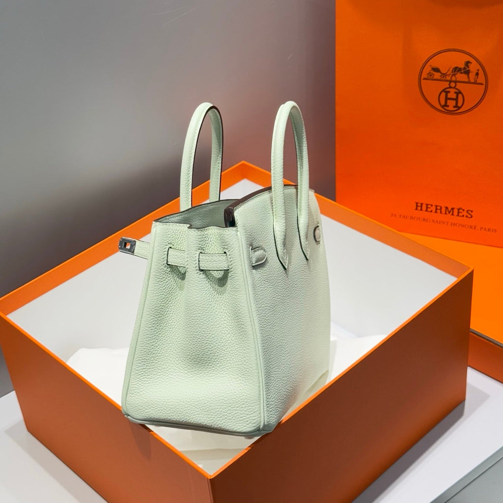 HERMES 25S MEDIUM BIRKIN 25 IN LIGHT MINT GREEN CALFSKIN SILVER HARDWARE